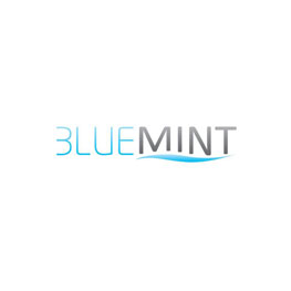 Bluemint