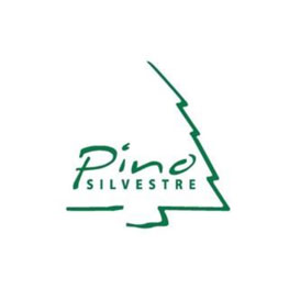 Pino Silvestre